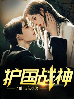 护国战神林羽沈卿月